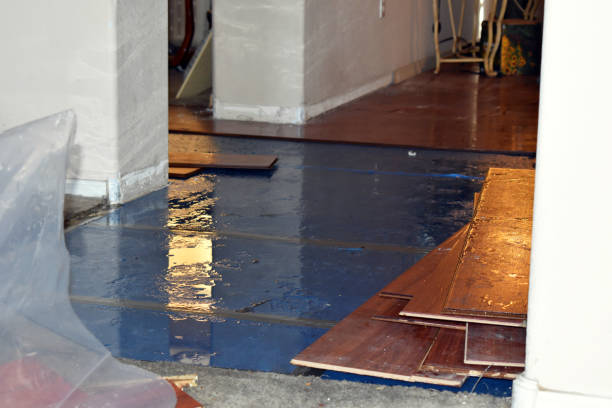 Professional Water Damage technician working in Maple Rapids, MI