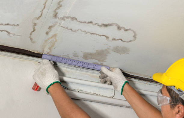 Reliable Water Damage contractor in Maple Rapids, MI by Water Damage Irwin